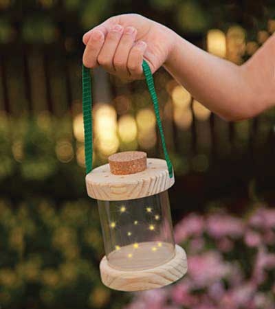Firefly lantern